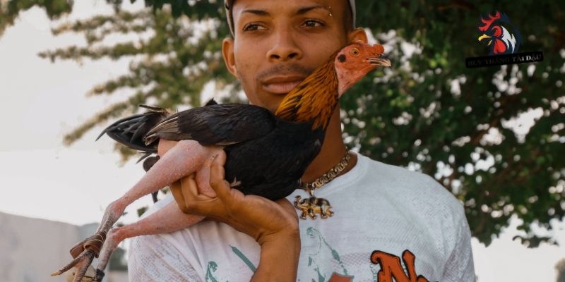 Lý do vì sao cần nắm kỹ thuật đổ gà đá