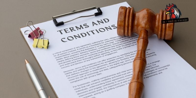 Một số thông tin về điều khoản và điều kiện