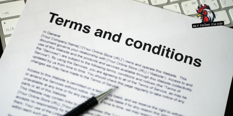 Người chơi có nghĩa vụ phải tuân thủ khi tham gia