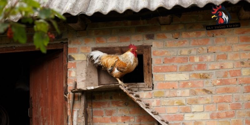 Vật liệu và độ bền cùng vô cùng quan trọng